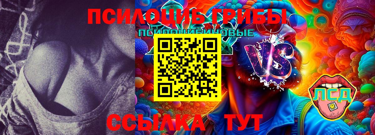 Галлюциногенные грибы Cubensis Щёкино