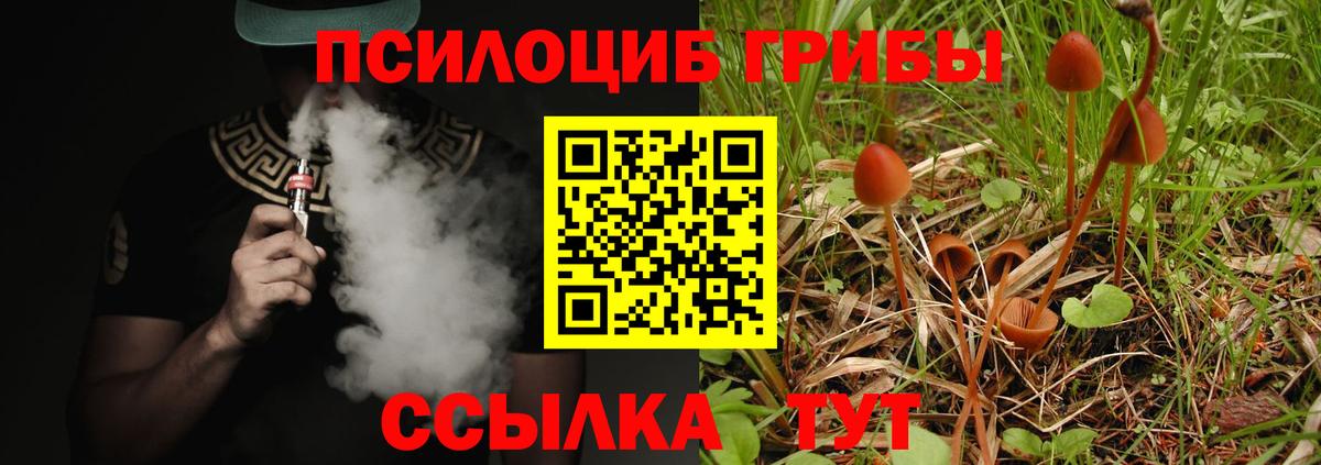 Псилоцибиновые грибы Cubensis  Галлюциногенные грибы GOLDEN TEACHER  Вход с VPN  Щёкино 