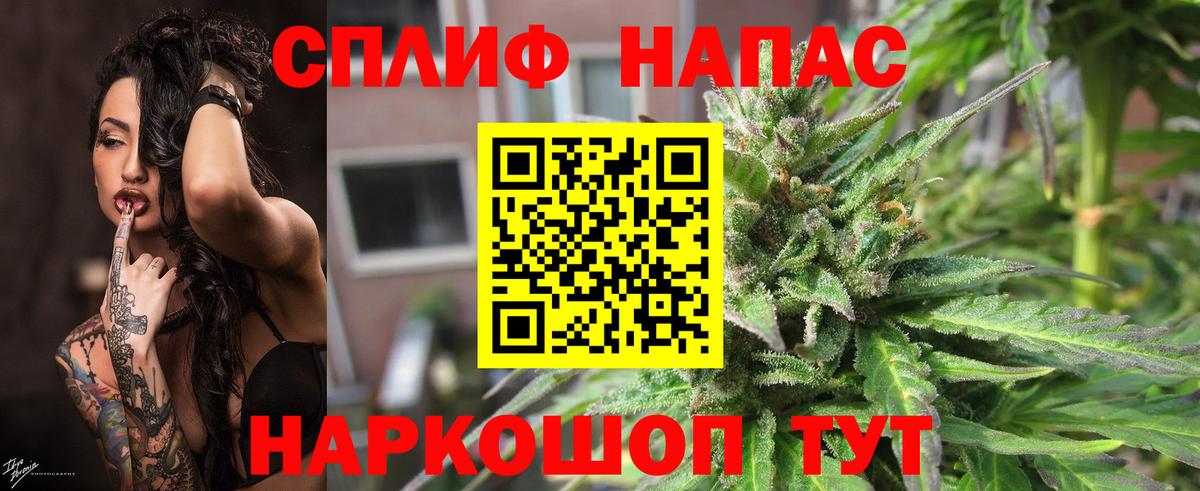 Марихуана сатива  Вход с VPN  МАРИХУАНА Amnesia  Щёкино  Бошки марихуана план  Бошки Шишки White Widow 